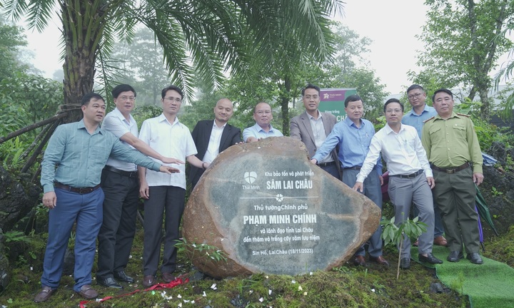 Vườn Sâm Lai Châu của Thái Minh nhận giấy chứng nhận nông nghiệp hữu cơ