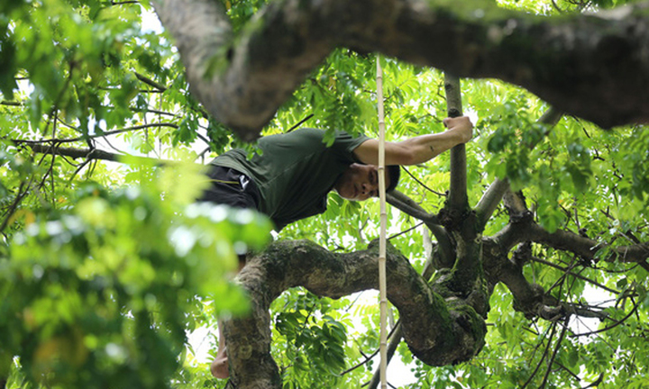 Kiếm tiền mưu sinh với nghề 'treo người' giữa lưng chừng trời ở Hà Nội 