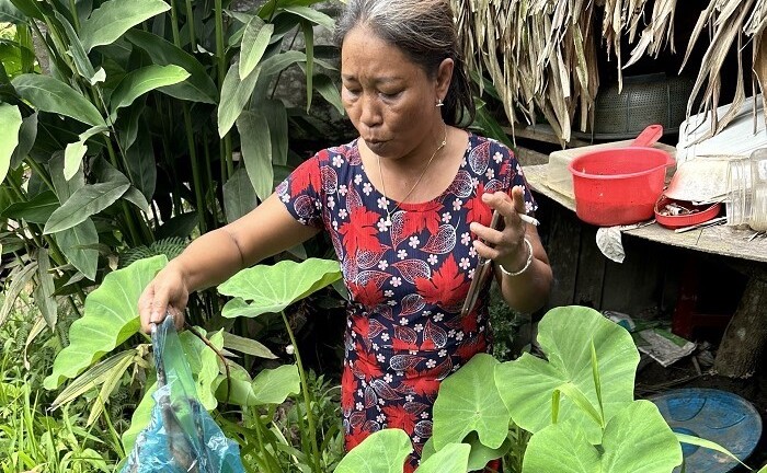 Mua bán động vật quý hiếm, người phụ nữ ở Quảng Nam bị bắt