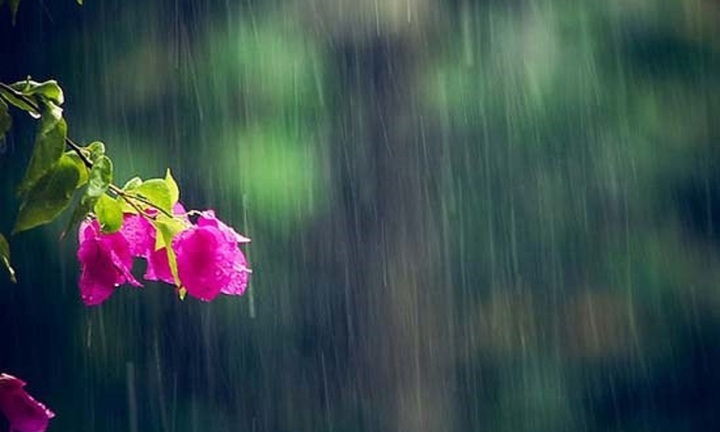 Dự báo thời tiết 15/6: Hà Nội ngày nắng gián đoạn, có lúc mưa rào