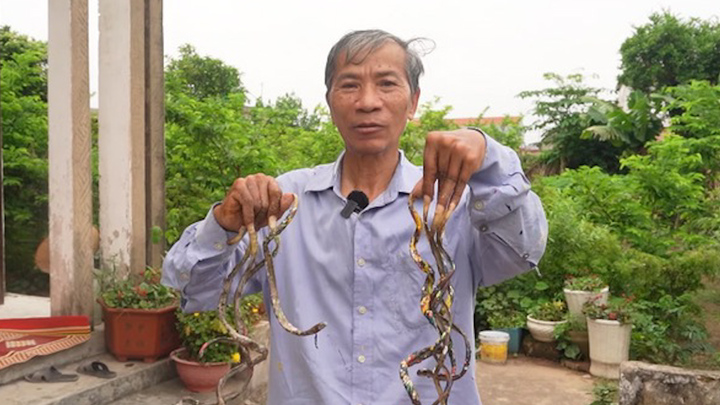 'Dị nhân' Nam Định sở hữu bộ móng tay kỳ quái dài gần 1m