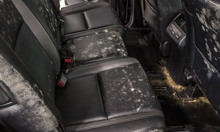 Kinh nghiệm xử lý dột nước cho ô tô