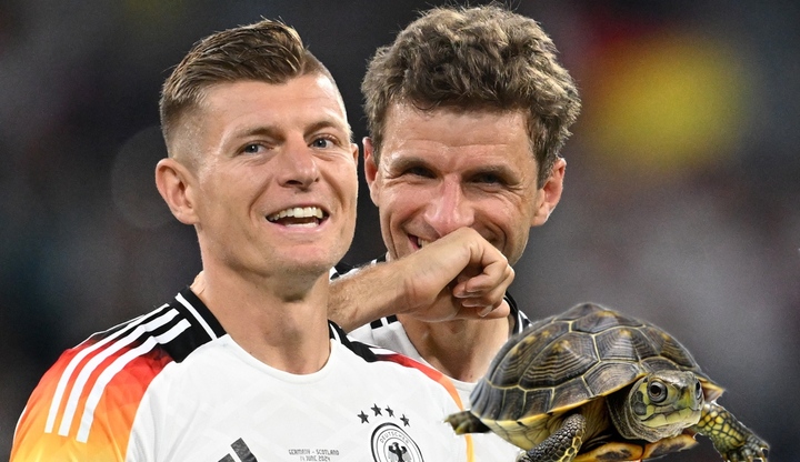 Rùa tiên tri dự đoán EURO 2024 hôm nay 19/6: Đức, Croatia ca khúc khải hoàn