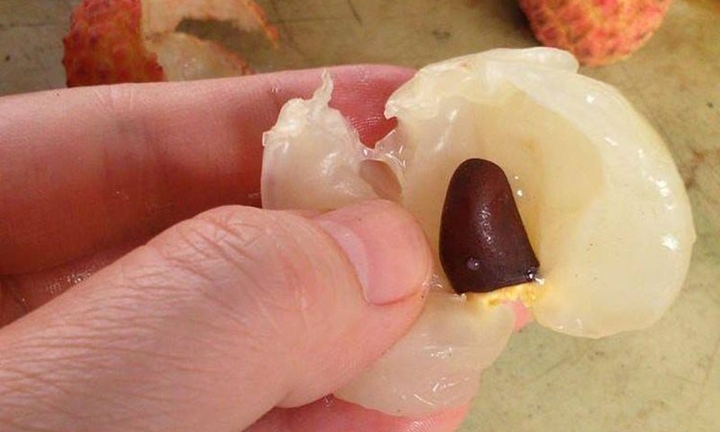 Hạt vải chữa bệnh gì?