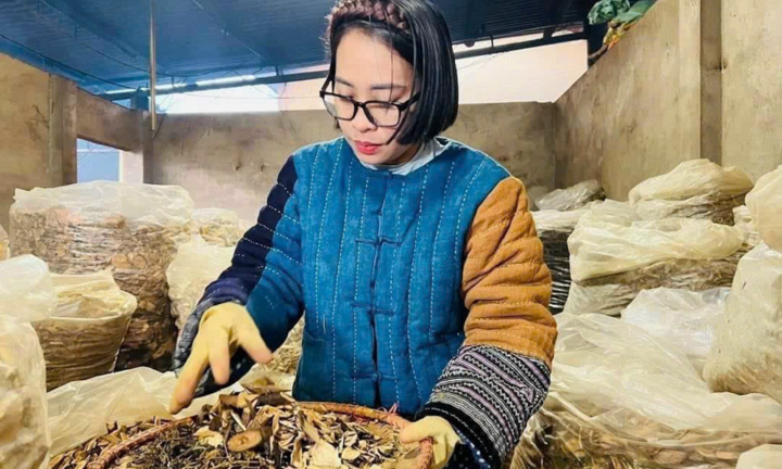 Bài thuốc bí truyền dân tộc Tày chữa vô sinh ở nữ giới