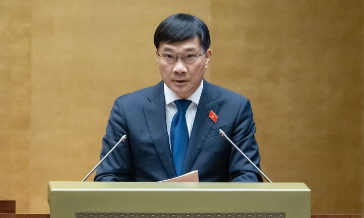 Người vi phạm đấu giá có thể bị truy cứu trách nhiệm hình sự