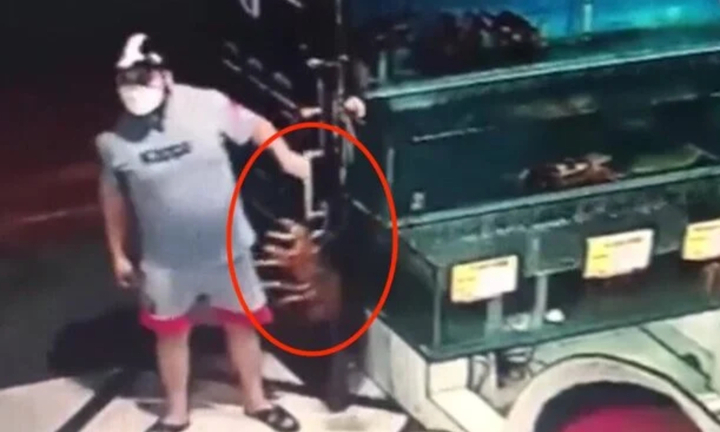 Bắt kẻ trộm tôm hùm gần 10 triệu đồng tại nhà hàng Hà Nội