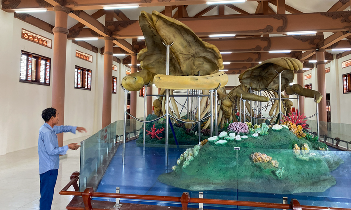 2 bộ xương cá voi lớn nhất Việt Nam ở Lý Sơn