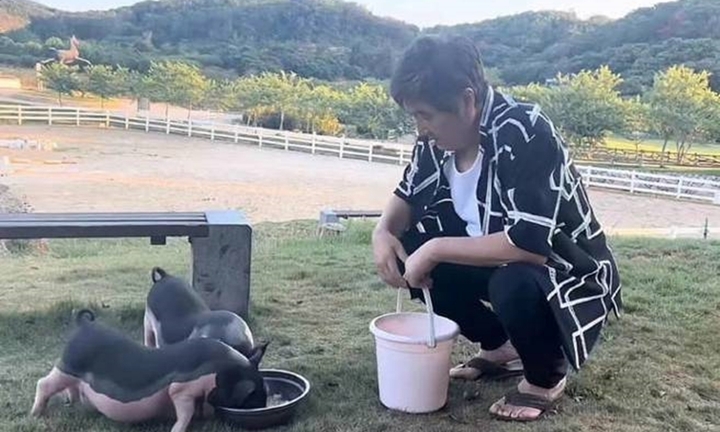 Nghệ sĩ đóng phim với Châu Tinh Trì - Củng Lợi bỏ phố về quê nuôi lợn, trồng rau