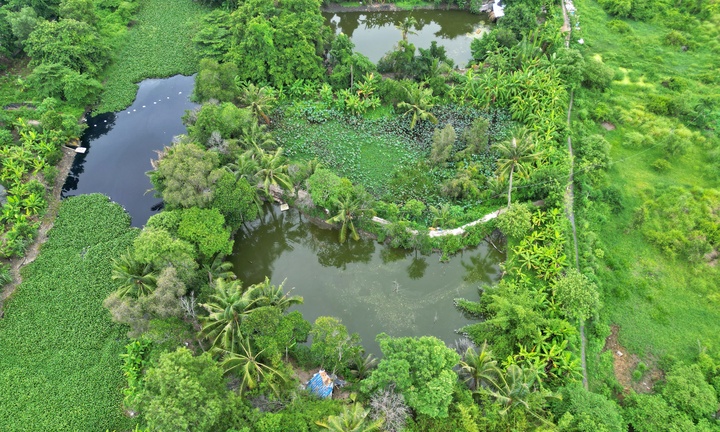 26ha đất làm Depot Metro TP.HCM bị bỏ hoang, thành nơi chăn thả gia súc