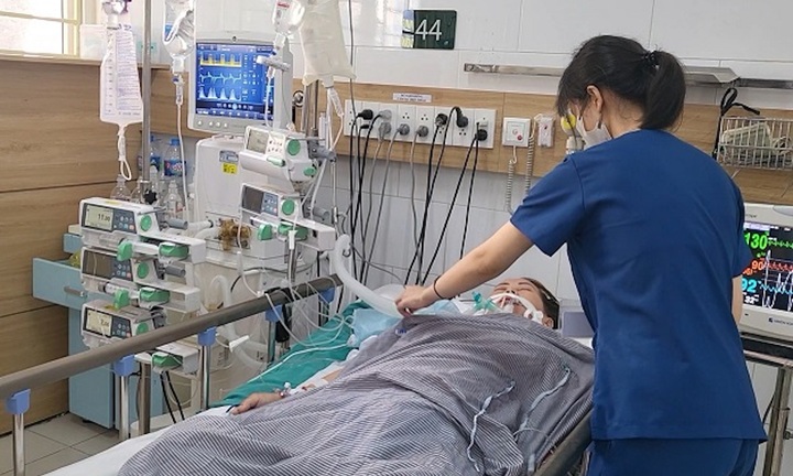 Tử vong vì uống nhầm thuốc sắc từ rễ cây lá ngón 