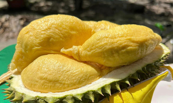 Những thực phẩm đại kỵ sầu riêng