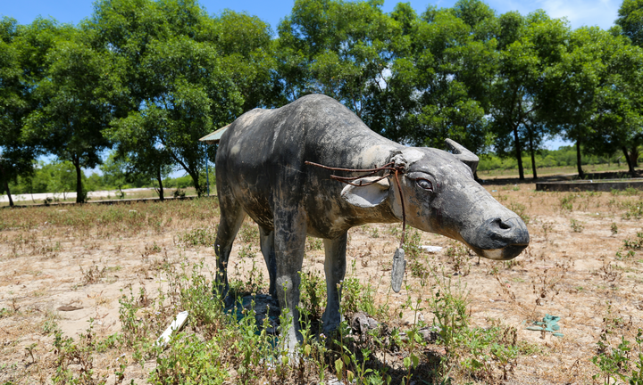 Xót xa khu du lịch 'phơi sương' cạnh bãi biển đẹp nhất Hà Tĩnh 
