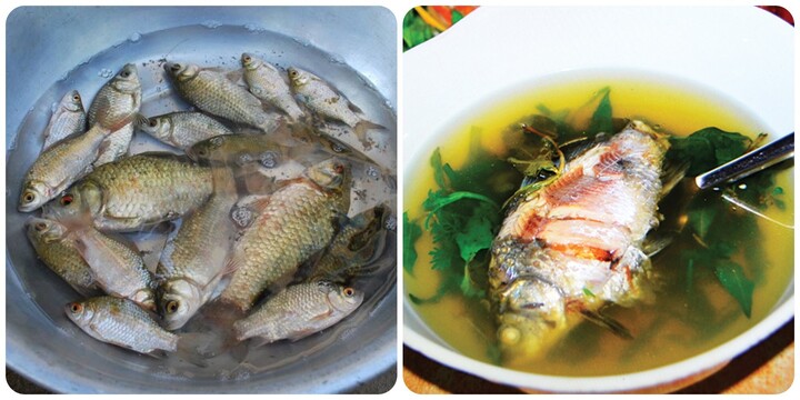 Loại cá rẻ tiền nhưng nhiều tác dụng với sức khoẻ