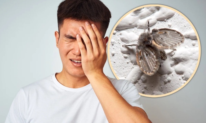 Đập chết ruồi đậu trên mắt, người đàn ông phải cắt bỏ nhãn cầu