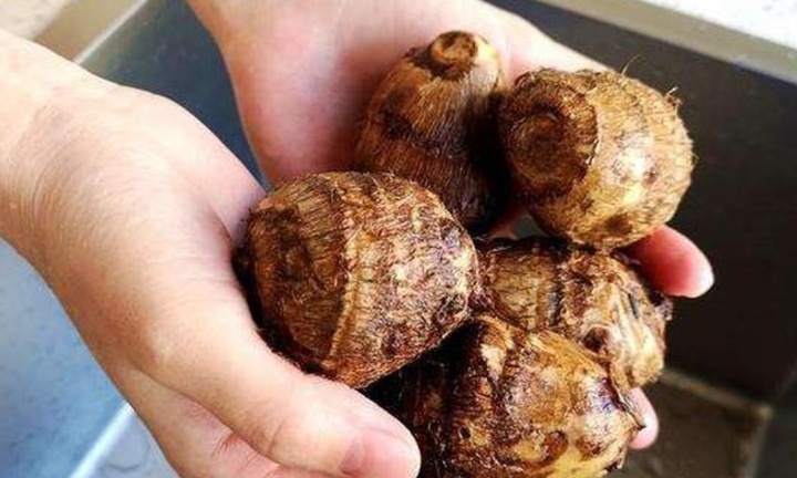 Mẹo tránh ngứa tay khi gọt khoai sọ