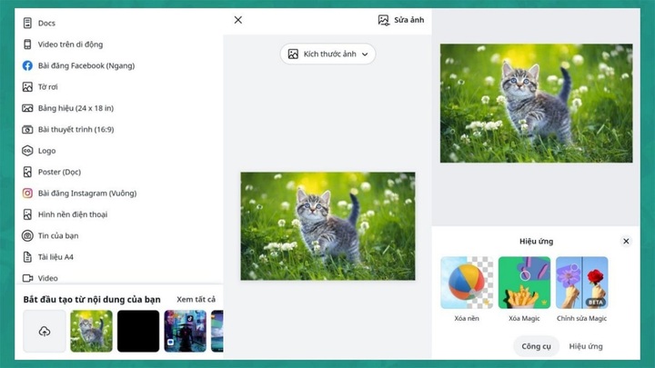 Cách xóa phông ảnh trên Canva bằng điện thoại