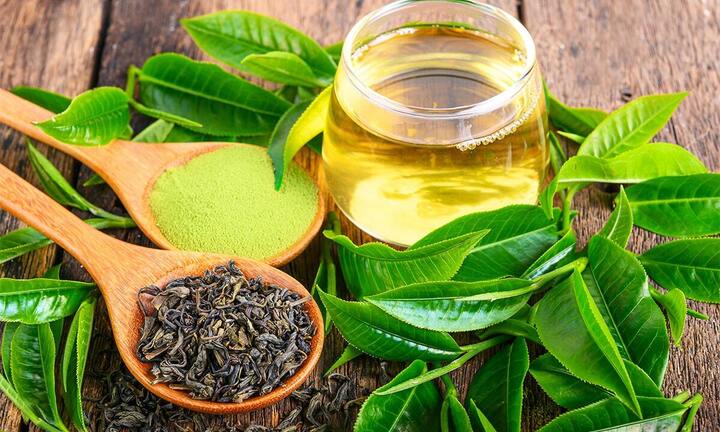 Bí kíp để nước trà tươi luôn xanh ngát