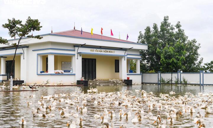 Nghiên cứu giải pháp bố trí lại dân cư vùng 'rốn lũ' ngoại thành Hà Nội