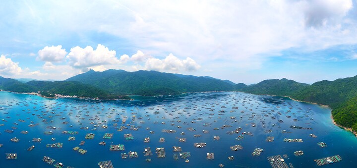 Lồng nuôi hải sản ken đặc mặt biển Phú Yên
