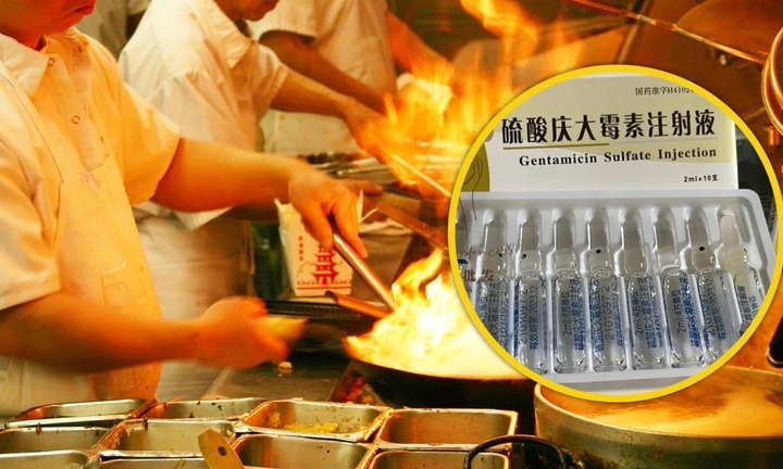 Đầu bếp trộn thuốc kháng sinh vào 1.600 suất ăn để khách không bị tiêu chảy 
