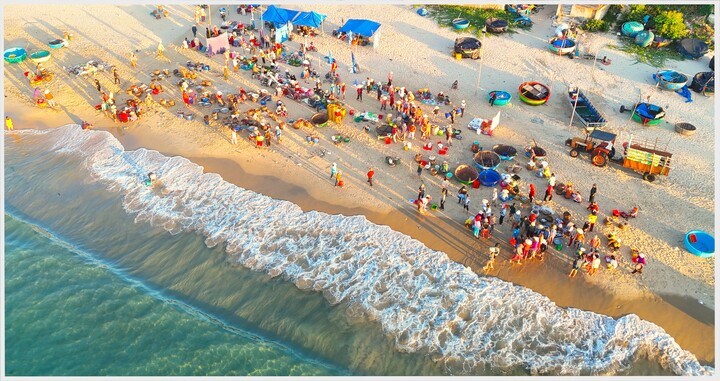 Bình minh tấp nập tại chợ hải sản ngay chân sóng ở Bình Định