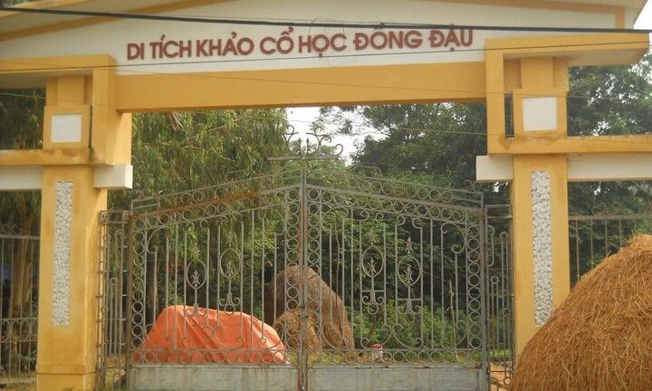 Vĩnh Phúc sẽ khai quật Di tích khảo cổ học Đồng Đậu lần 8