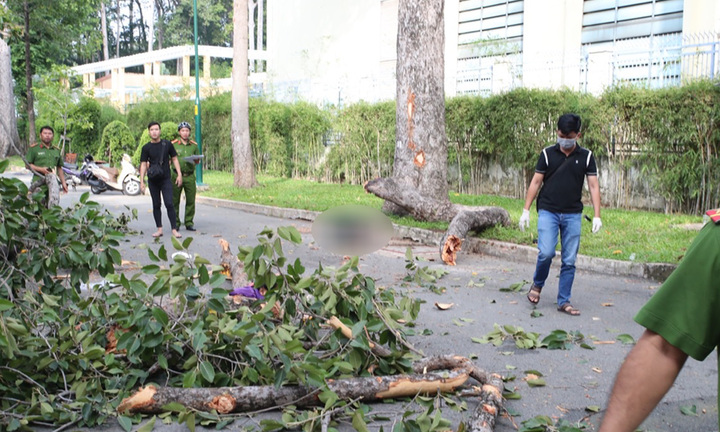 Cành cây rơi đè chết 2 người ở công viên Tao Đàn
