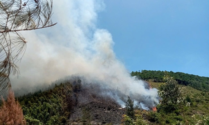 Hơn 20 giờ nỗ lực, đám cháy rừng ở Quảng Bình vẫn chưa thể dập tắt