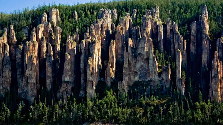 Ngắm rừng đá hàng triệu năm tuổi 