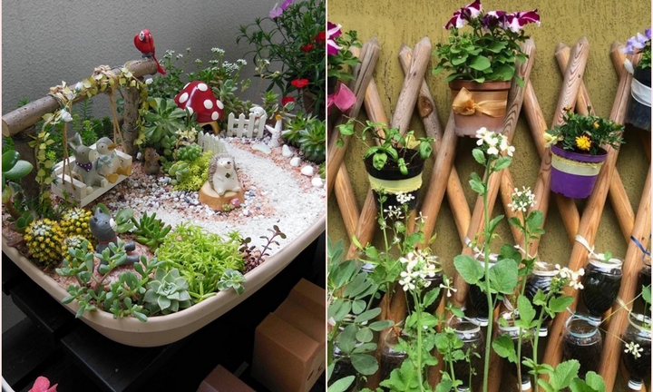 Ý tưởng làm vườn trong nhà nhỏ