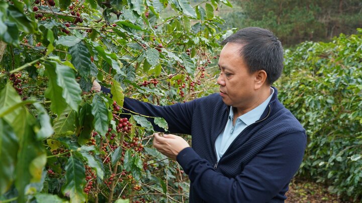 Quỹ đầu tư Hà Lan rót gần 25 triệu USD vào ‘vua tiêu’ Phúc Sinh