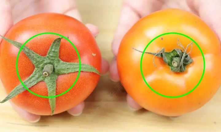 Cách nhận biết cà chua chín tự nhiên, không hóa chất