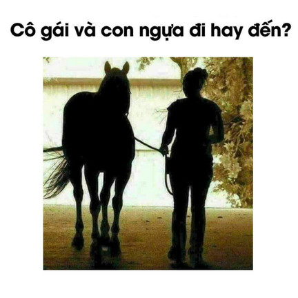 Tưởng dễ mà rất khó: Cô gái và con ngựa đang đi hay đến?