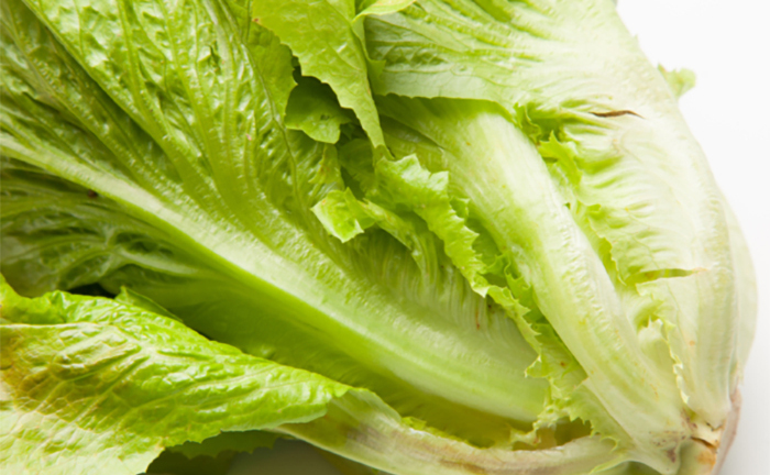 Có nên ăn rau xà lách đã bị đốm vàng?