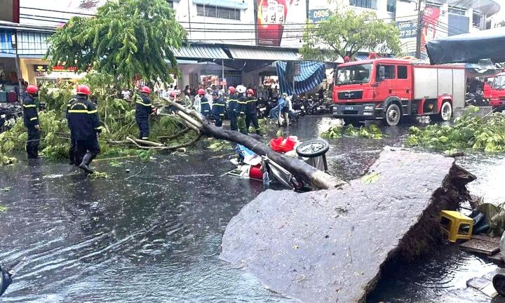 Cây xanh bật gốc trong mưa giông, một người bị thương