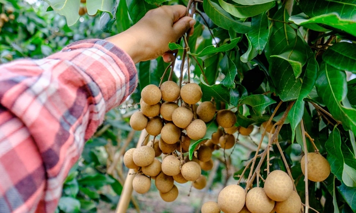 5 nhóm người nên hạn chế ăn nhãn