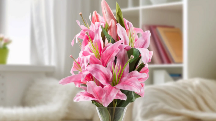 Hoa ly hồng có ý nghĩa gì?