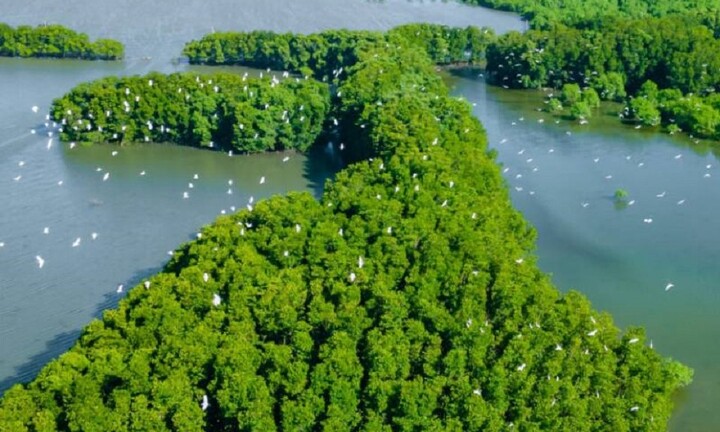 Đến Bình Định khám phá đầm Thị Nại