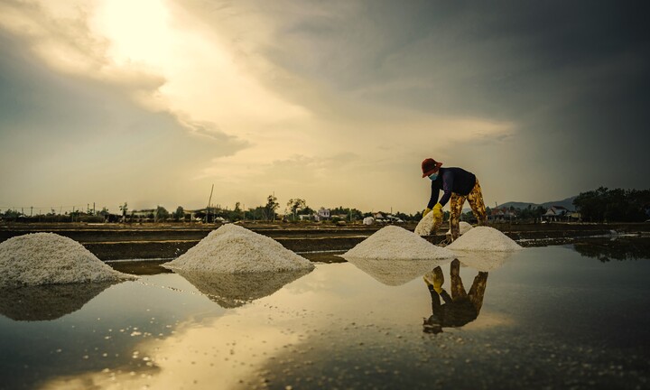 Những người 'cõng nắng' trên cánh đồng muối trắng tại Bình Định