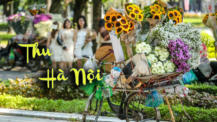 Xao xuyến mùa thu Hà Nội