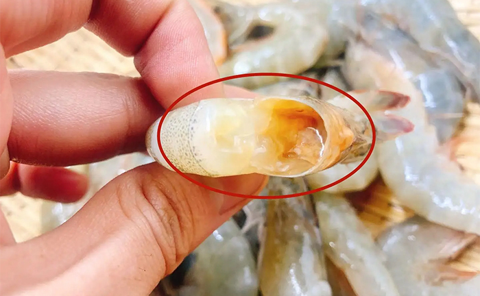 Nguyên tắc '3 không' giúp chọn tôm tươi ngon, không tiêm hóa chất