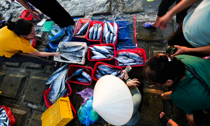 Nhộn nhịp chợ cá Cồn Gò bên làng chài 600 năm tuổi ở Hà Tĩnh 