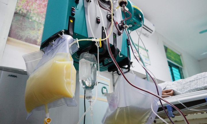 Huyết tương người đàn ông trắng đục như sữa