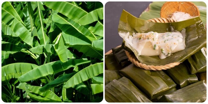 Lá chuối có tác dụng gì?