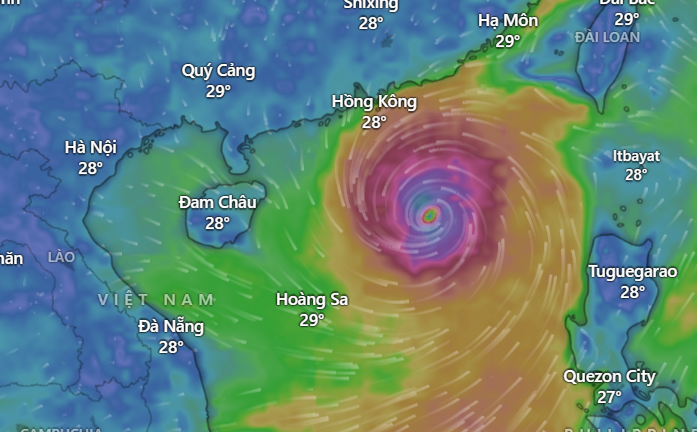 Bão sắp đổ bộ, làm gì để đảm bảo an toàn?