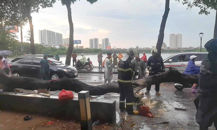 Hà Nội mưa trắng trời, cây xanh gãy đổ, đè người đi đường tử vong