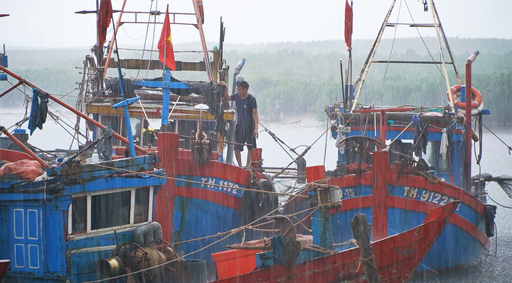 Bão số 3 áp sát, Hà Tĩnh vẫn còn 107 lao động đang ở ngoài khơi