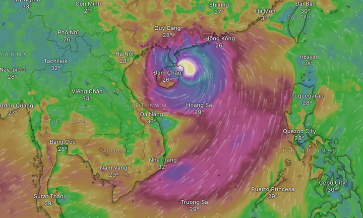 Từ khoá liên quan đến siêu bão Yagi tăng đột biến chỉ sau 1 ngày