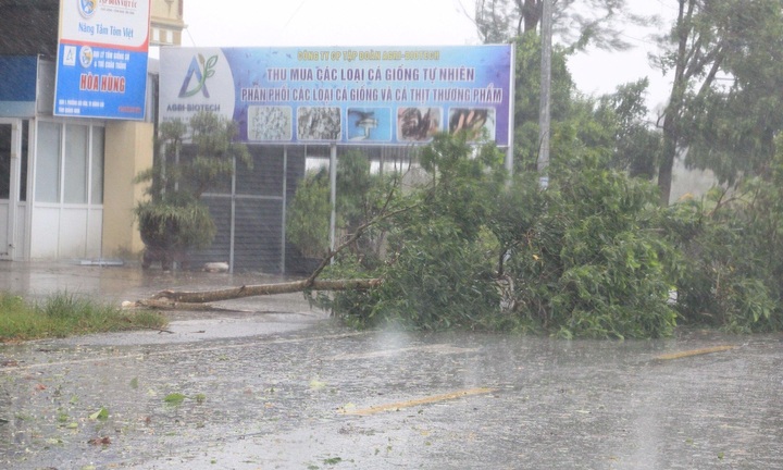 Bão cấp 14, giật cấp 17 nguy hiểm thế nào?